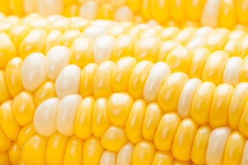 生トウモロコシのアップ