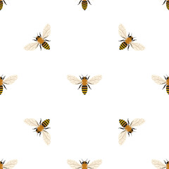 Vector seamless pattern with honey bee. 