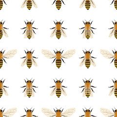 Vector seamless pattern with honey bee. 
