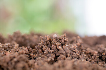 Macro shot of sandy soil