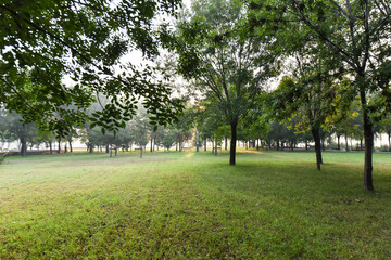 The lawns, trees and seats for people to rest in the city park, the natural scenery