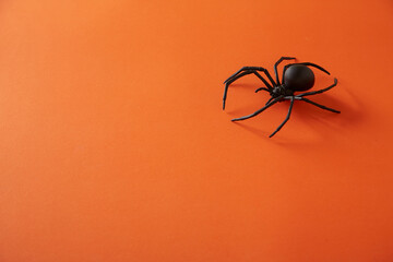Halloween background with spider