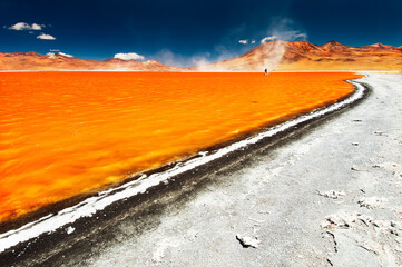 Laguna Colorada is an hypersaline lake in Bolivian Altiplano
