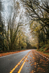Fototapeta premium road in autumn