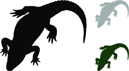 black, grey and green alligator - obrazy, fototapety, plakaty