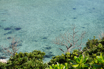 南の島の青い海