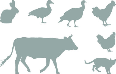 farm animals collection
