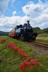 Fototapeta premium 秋の行楽列車 小湊鉄道