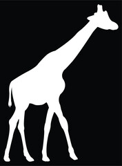 silhouette of giraffe