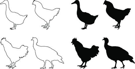 set of poultry animals