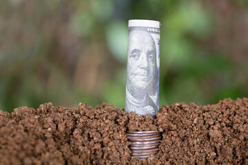 Dollar coins in the soil grow dollar bills