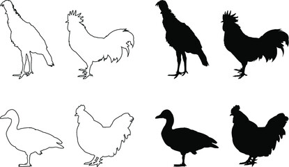 set of poultry animals