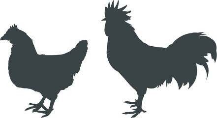 rooster and hen