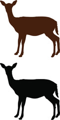 Fototapeta premium deer vector