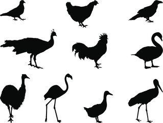 set of silhouettes of birds