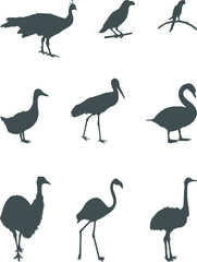 set of silhouettes of birds