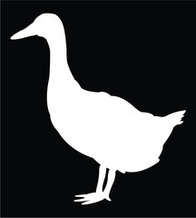 goose on a white background