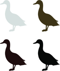 set of ducks