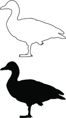 silhouette of a goose
