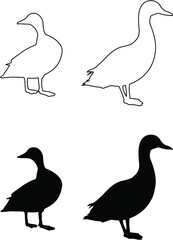 set of ducks