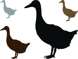 set of duck silhouette