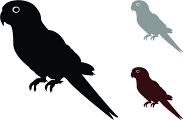 set of parrot birds
