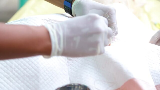 A veterinarian performs castration procedure to a dog.