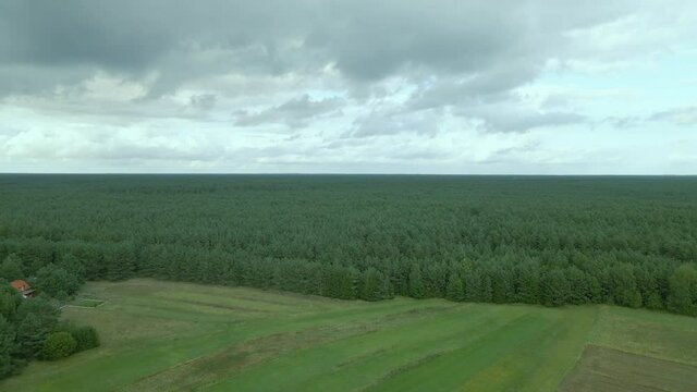 Bird's eye view flying over endless dense green forest on a cloudy day Kowalskie Blota, Poland, daytime Aerial
