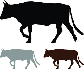silhouette of a cow