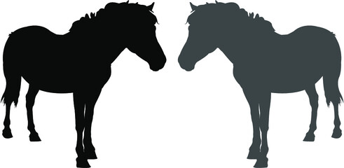silhouette of a horses