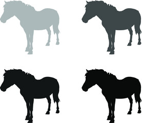 silhouette of horses