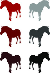 silhouettes of horses
