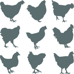 set of chicken icons
