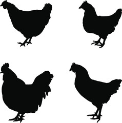 set of chicken silhouettes