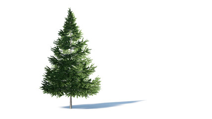 Fototapeta premium Hi-Resolution Beautiful 3D christmas Trees Isolated on white background , Use for visualization in architectural design