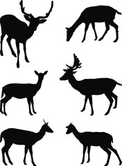 silhouettes of deer