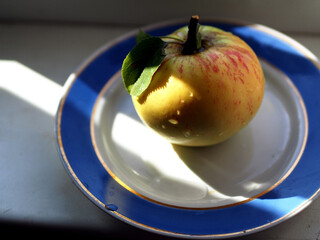 Apple with drops of water and green leaves on the stem lies on a plate