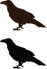 silhouette of a crow