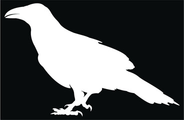 silhouette of a raven bird