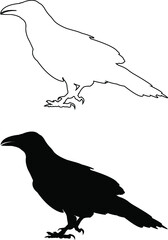 silhouette of a crow