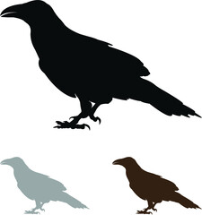 set of raven silhouettes