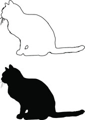 silhouette of a cat
