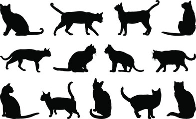 set of cats silhouettes
