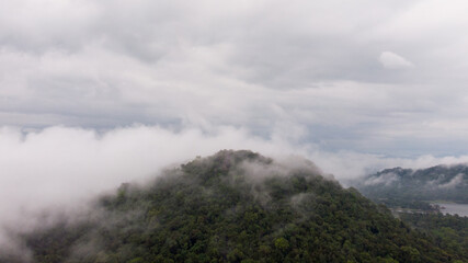 Bird eye view of a Rain Forest