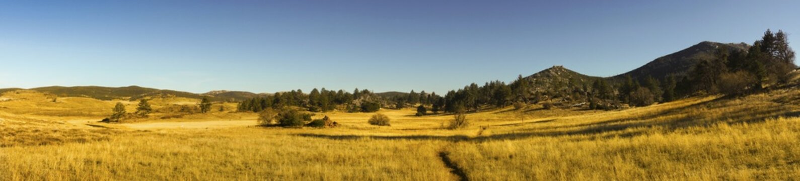 Wide Panoramic Landscape Scenic View of Alpine Meadows and Natural Grassland in Cuyamaca Rancho State Park east San Diego County on a sunny winter day