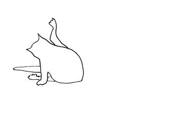 cat licks, graphic linear silhouette drawing on white background, copy space