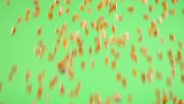 Corn kernel falling on chroma background.