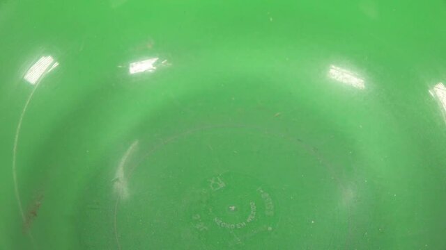 Corn kernel falling on a transparent plate, on chroma background.