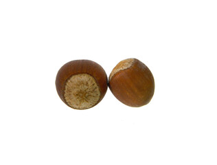 ripe walnut isolated on white background