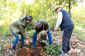 A family of three planting a tree